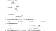 第十一单元 盐 化肥 单元复习题  九年级化学人教版下册