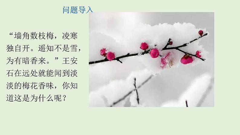 初中化学人教版九上3.1.1 物质由微观粒子构成课件第2页