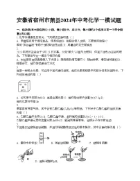 安徽省宿州市萧县2024年中考化学一模试题