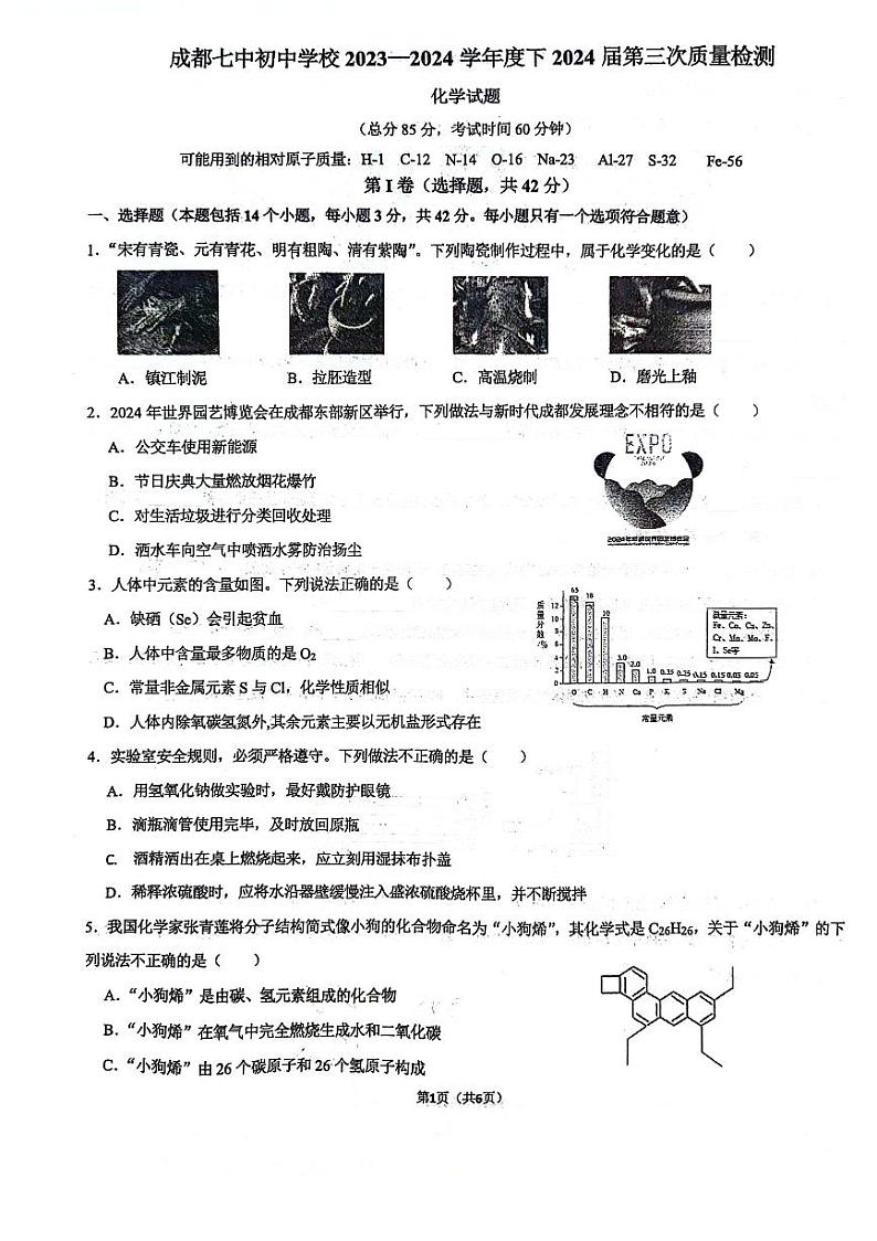 2024年四川省成都市第七中学初中学校中考三模化学试题第1页