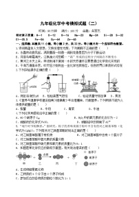 2024年山东省潍坊市中考模拟化学试题（二）