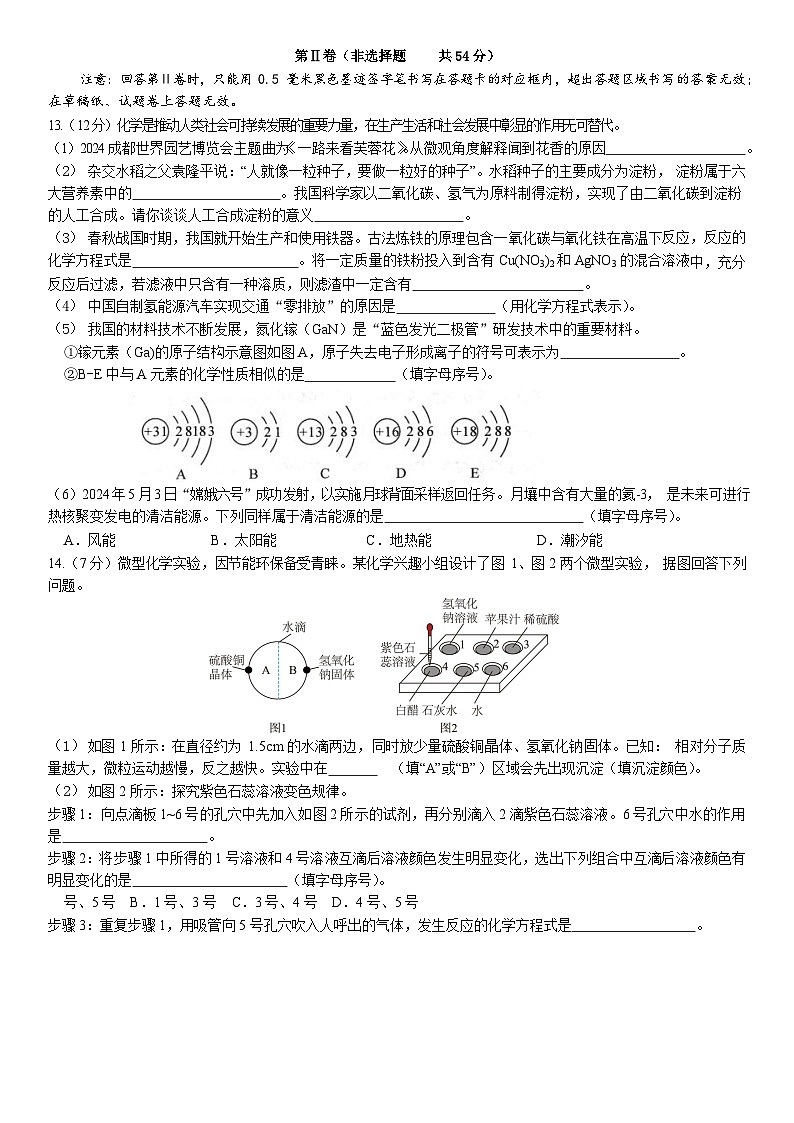 07,2024年四川省雅安中学中考三模化学试题03