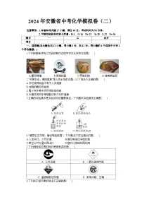 2024年安徽省中考模拟化学试卷（二）