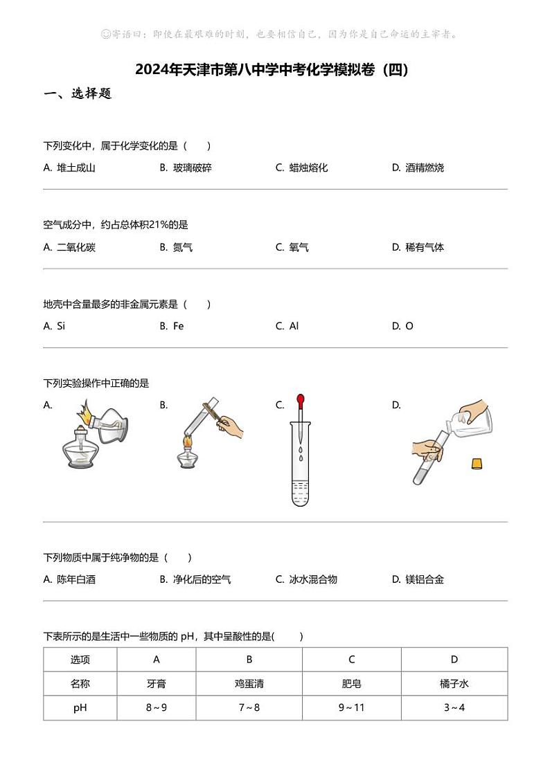 2024年天津市第八中学中考化学模拟卷(四)第1页