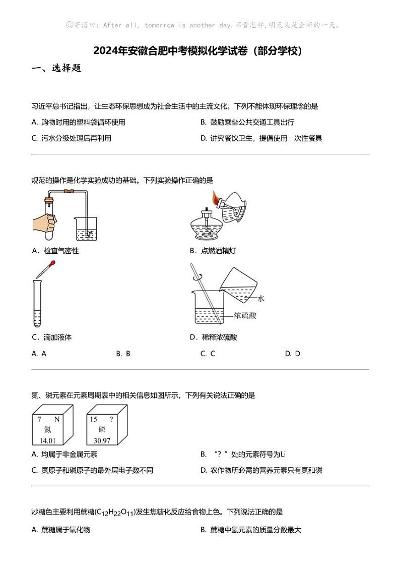 2024年安徽合肥中考模拟化学试卷(部分学校)01