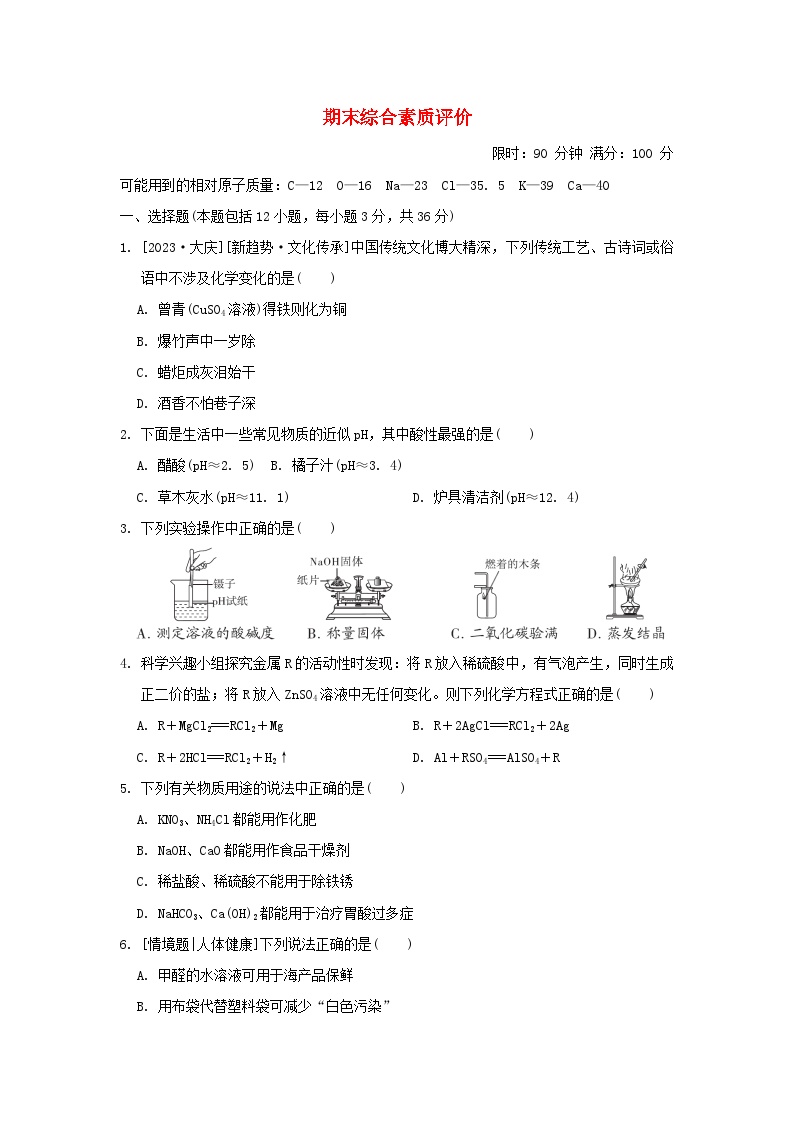 2024九年级化学下学期期末综合素质评价试卷（附答案人教版）