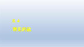 2024九年级化学下册第8章常见的酸碱盐8.4常见的盐课件（科粤版）
