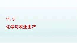 2024九年级化学下册第11单元化学与社会发展11.3化学与农业生产课件（鲁教版）