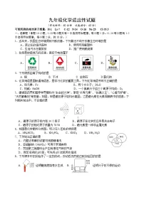 2024年江苏省泰州市高新区(高港区)部分学校中考三模化学试题