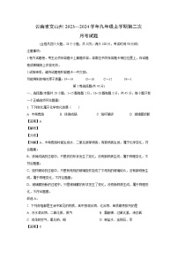 化学：云南省文山州2023—2024学年九年级上学期第二次月考试题（解析版）