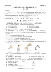 2024年山东省临沂市初中学业水平考试模拟化学试卷（六）