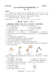2024年山东省临沂市初中学业水平考试模拟化学试卷(六)