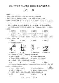 2024年河南省濮阳市中考二模化学试题