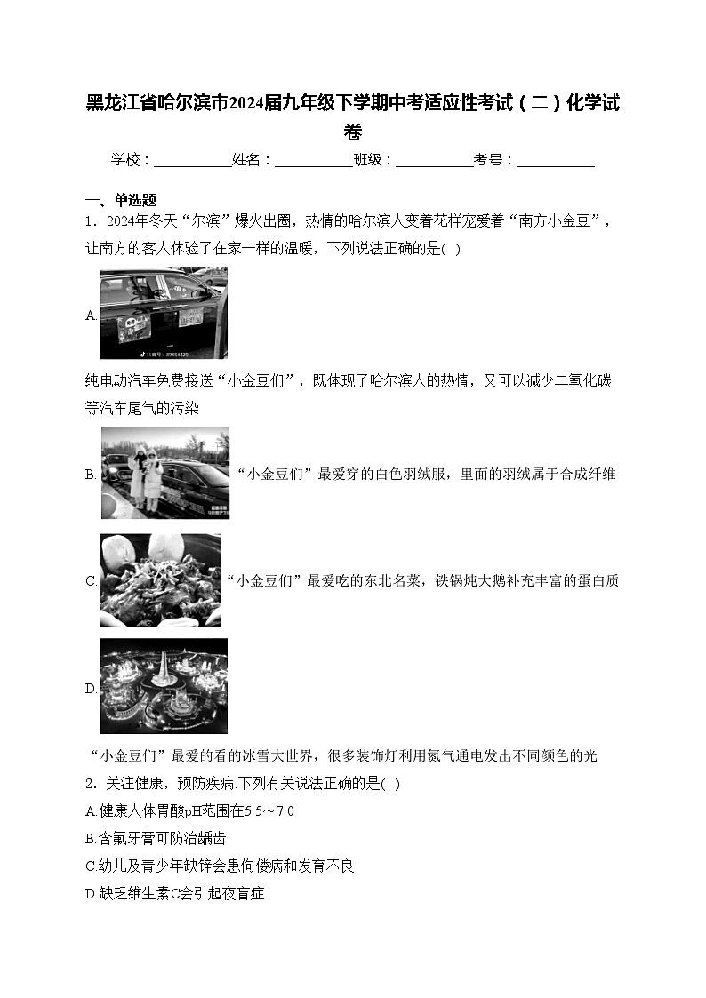 黑龙江省哈尔滨市2024届九年级下学期中考适应性考试(二)化学试卷(含答案)01