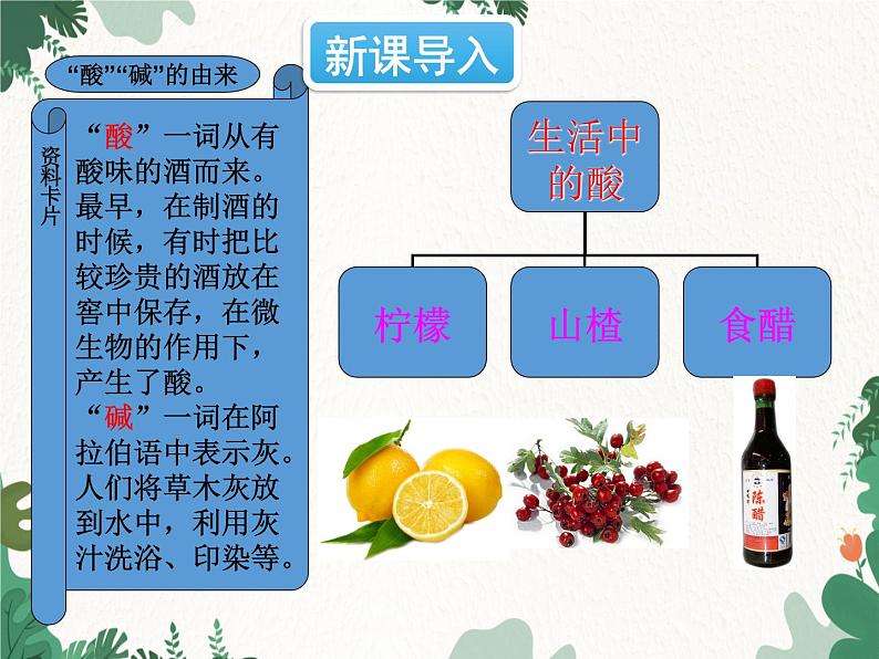 人教版化学九年级下册 第十单元课题1第一课时 酸碱指示剂和常见的酸课件第2页