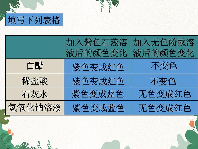 人教版化学九年级下册 第十单元课题1第一课时 酸碱指示剂和常见的酸课件第6页
