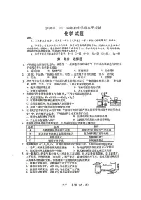 2024年四川省泸州市中考化学试题