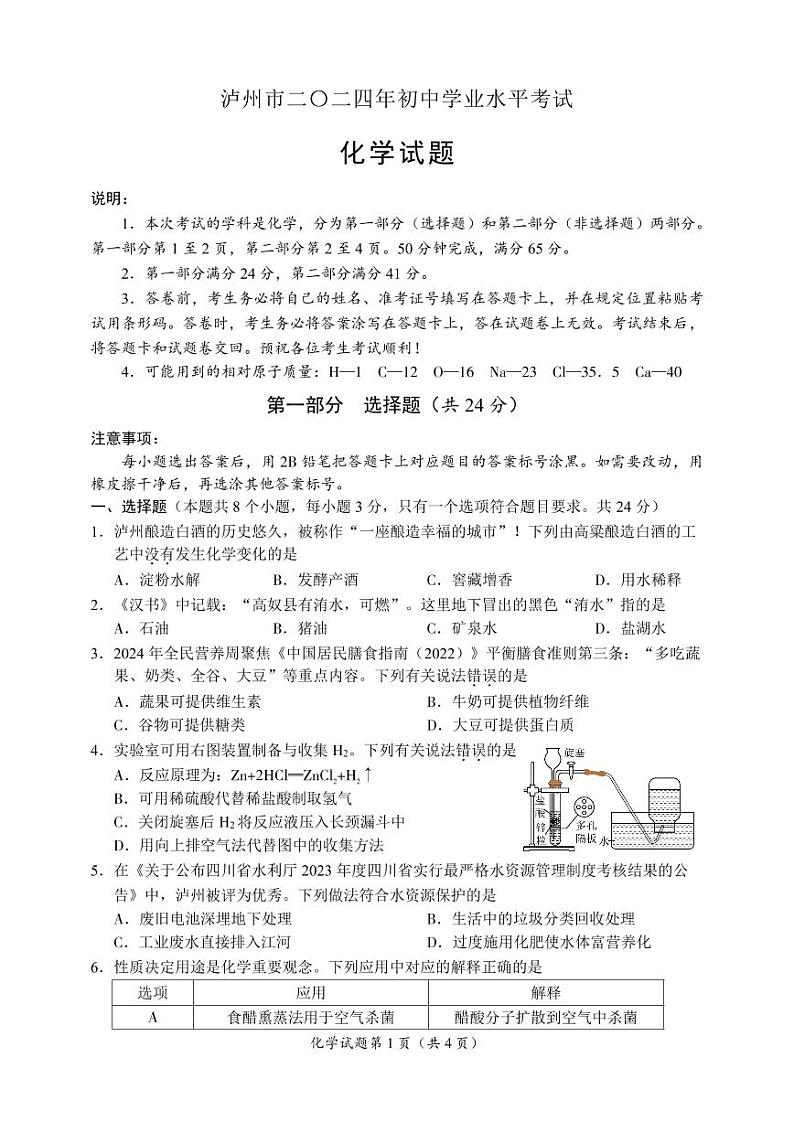 2024年中考真题:四川省泸州市化学试卷第1页