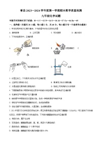 河北省沧州市青县2023-2024学年九年级上学期期末考试化学试卷（解析版）