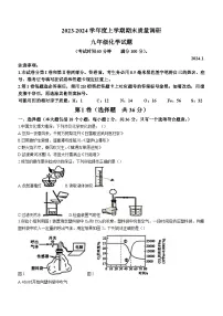 山东省临沂市莒南县2023-2024学年九年级上学期期末化学试题(含答案)