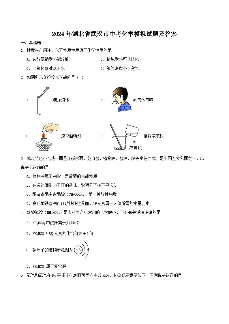 2024年湖北省武汉市中考化学模拟试题及答案第1页