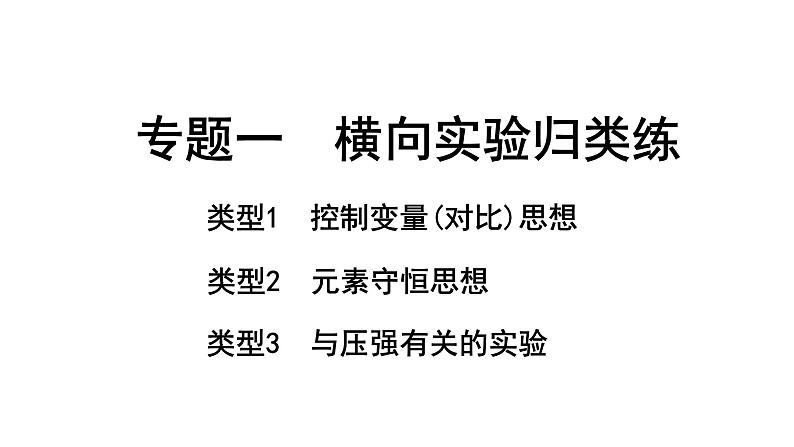 2024海南中考化学二轮重点专题突破 专题一 横向实验归类练(课件)第1页