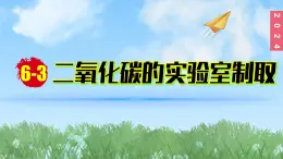 (2024)人教版化学九年级上册（6-实验活动3 ）二氧化碳的实验室制取与性质 PPT课件