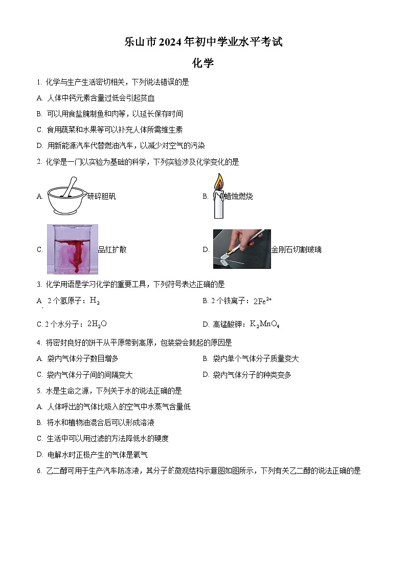 2024年四川省乐山市中考化学真题(原卷版)第1页