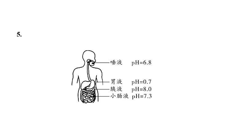 2024辽宁中考化学二轮重点专题研究 全国视野 推荐题型(课件)第8页