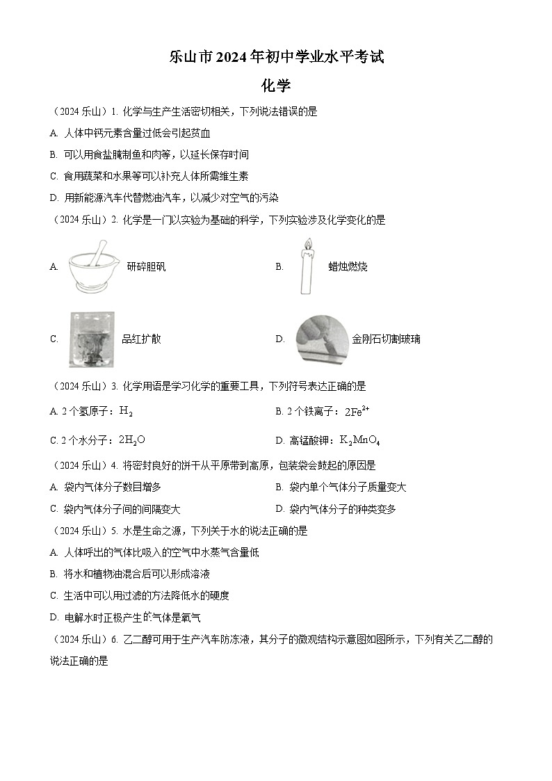 2024年四川省乐山市中考化学真题(原卷版)第1页