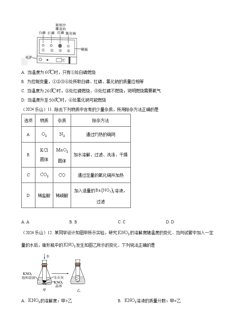 2024年四川省乐山市中考化学真题(原卷版)第3页