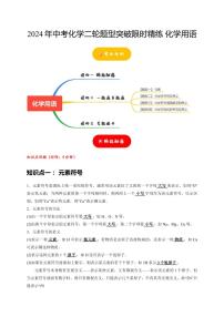 2024年中考化学二轮题型突破限时精练 化学用语 （含解析）