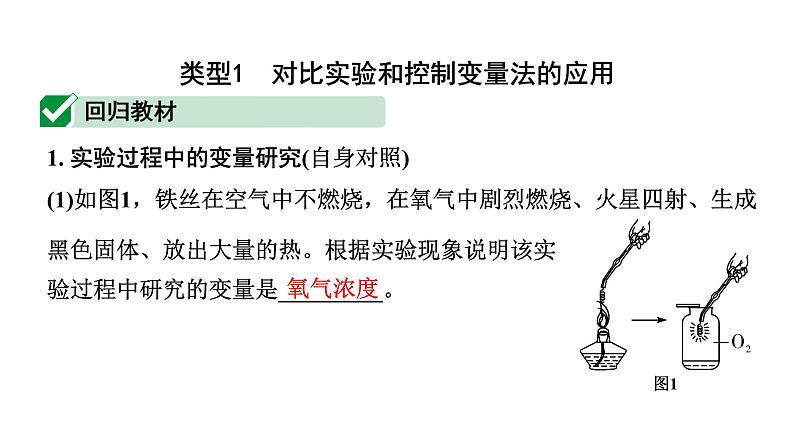 2024宁夏中考化学二轮重点专题突破 主题17 横向实验归类练(课件)第2页
