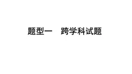 2024寧夏中考化學(xué)三輪沖刺全國視野 推薦題型 題型一 跨學(xué)科試題（課件）