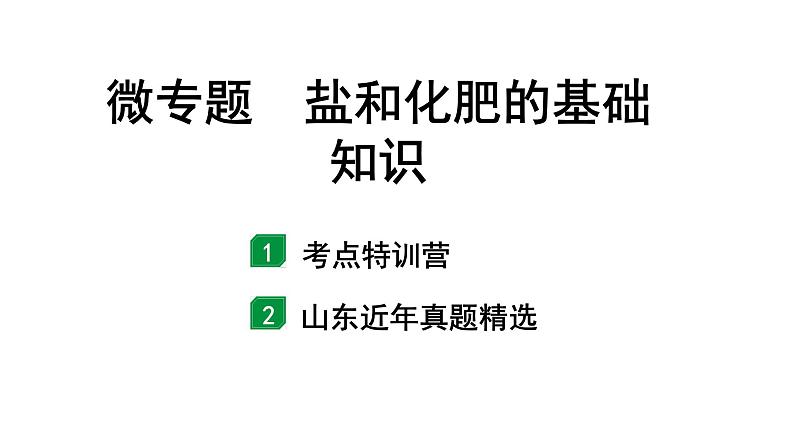 2024山东中考化学二轮专题复习 微专题 盐和化肥的基础知识(课件)01