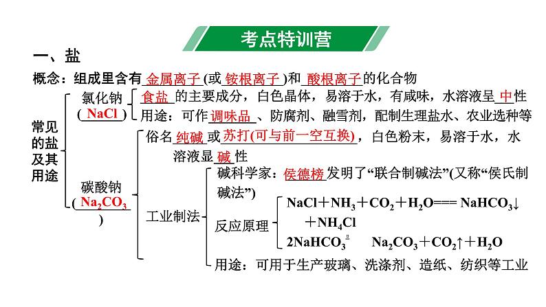 2024山东中考化学二轮专题复习 微专题 盐和化肥的基础知识(课件)02