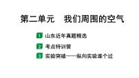 2024山东中考化学一轮复习 中考考点研究 第二单元  我们周围的空气（课件）