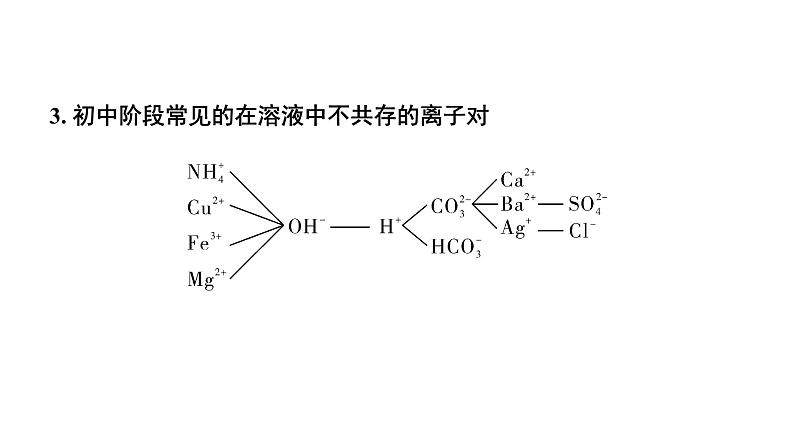 2024沈阳中考化学二轮专题突破 微专题 物质的共存(课件)第5页