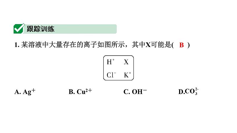 2024沈阳中考化学二轮专题突破 微专题 物质的共存(课件)第7页