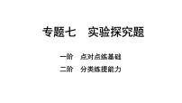 2024四川中考化学二轮复习 专题七 实验探究题（课件）