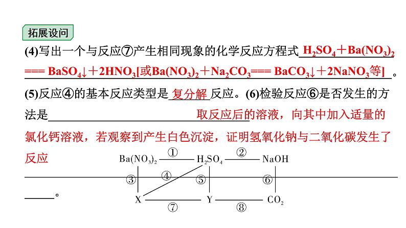 2024四川中考化学一轮复习 微专题9 酸碱盐之间的反应和转化(课件)05
