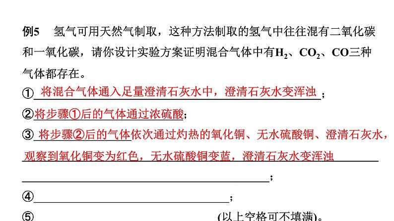 2024长沙中考化学二轮复习专题七 实验探究题 (课件)第8页