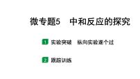 2024长沙中考化学一轮复习 微专题5 中和反应的探究（课件）