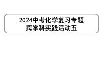 2024中考化学复习专题 跨学科实践活动五 (课件)