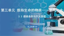 3.3 燃烧条件与灭火原理 课件-2024-2025学年九年级化学科粤版（2024）上册