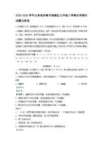 2022-2023学年山东省济南市钢城区九年级上学期化学期末试题及答案