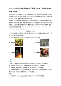 2022-2023学年山东省济南市平阴县九年级上学期化学期末试题及答案