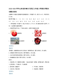 2022-2023学年山东省济南市天桥区九年级上学期化学期末试题及答案