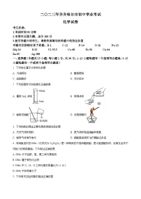 2023年黑龙江省齐齐哈尔市中考化学真题试卷（解析版）