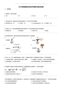[化学]2024年陕西西安未央区中考模拟A卷化学试卷